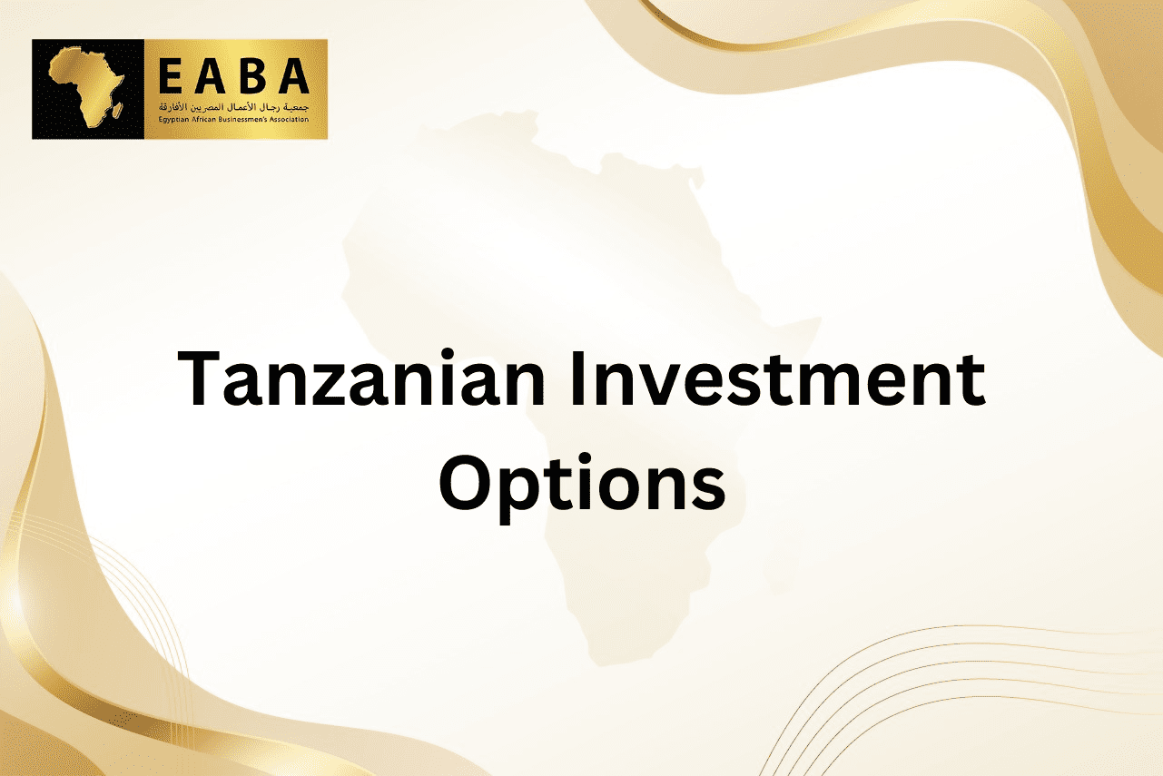 Tanzanian Investment options