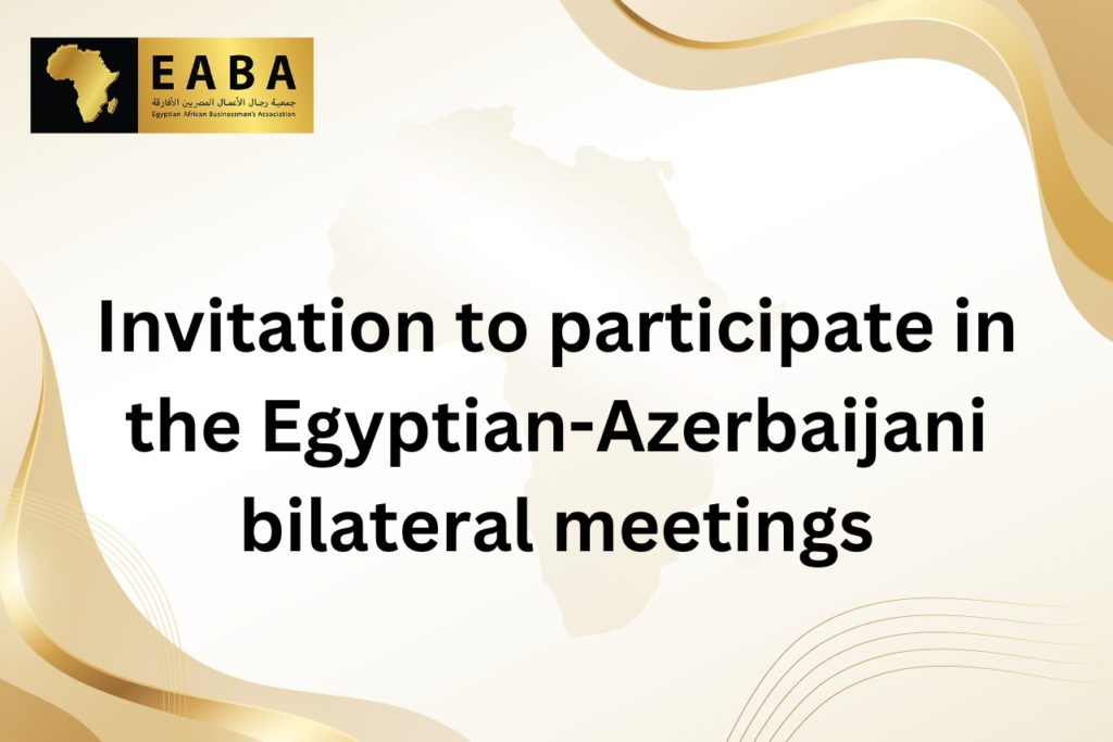 egyptian-azerbaijani-meetings