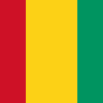 guinea-flag-medium